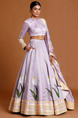 Crop Top ☀ Lehenga – Saris and Things